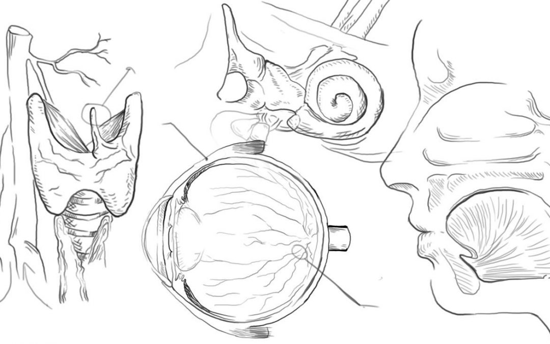 Bringing Art Back to Medicine