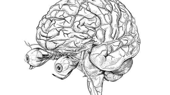 Why Behavioral Health is Every Doctor's Business