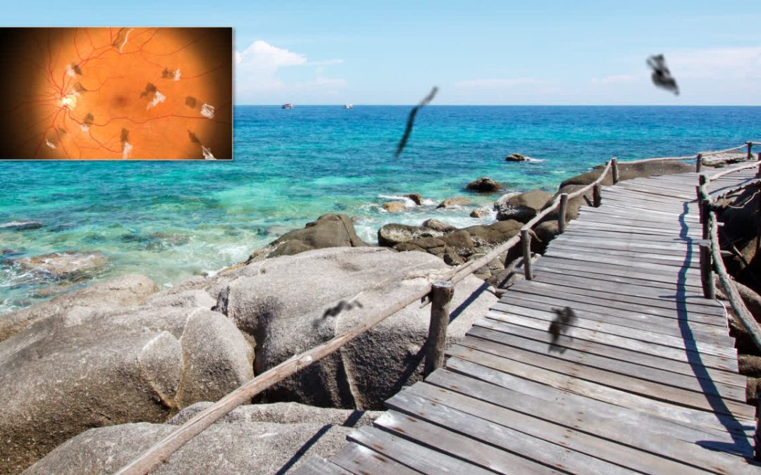 How to Visually Demonstrate Disease Progression to Patients